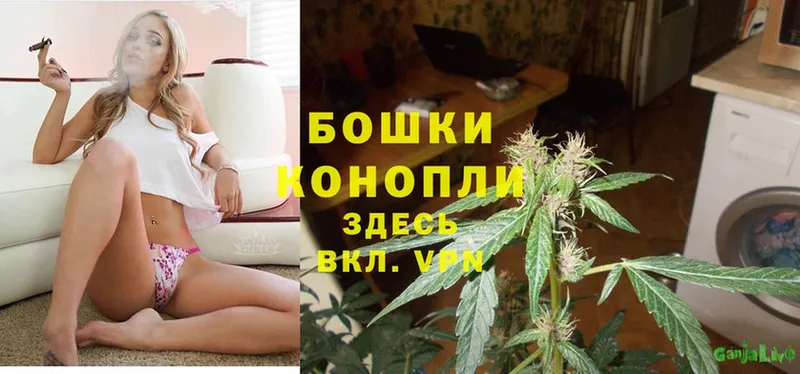 Канабис SATIVA & INDICA  Гвардейск 